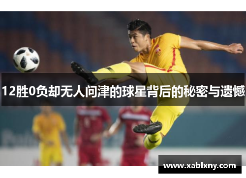 12胜0负却无人问津的球星背后的秘密与遗憾