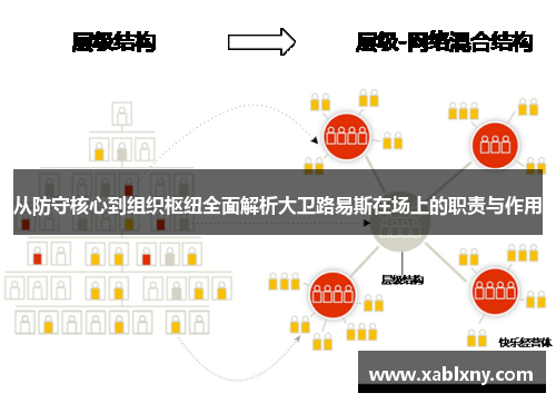 从防守核心到组织枢纽全面解析大卫路易斯在场上的职责与作用