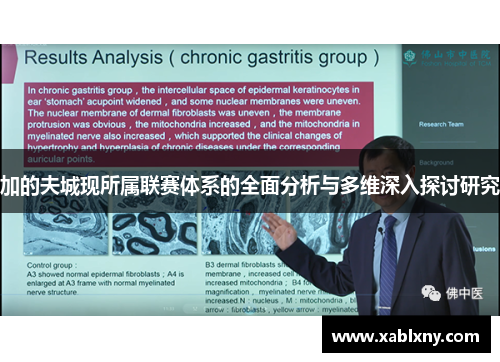 加的夫城现所属联赛体系的全面分析与多维深入探讨研究 加的夫城现所属联赛体系的全面分析与多维深入探讨研究